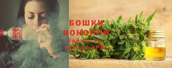 ГАЛЛЮЦИНОГЕННЫЕ ГРИБЫ Пестово