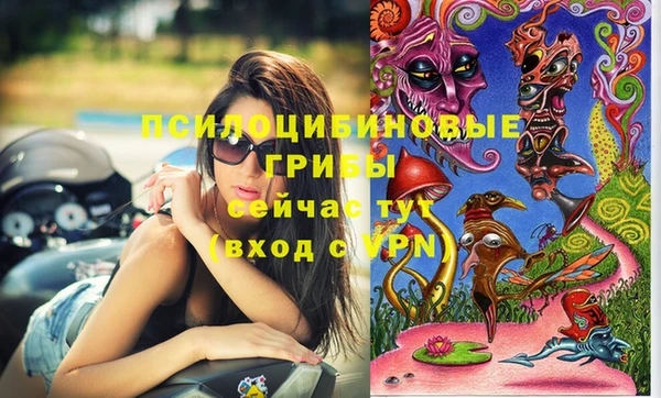 мдма Переславль-Залесский