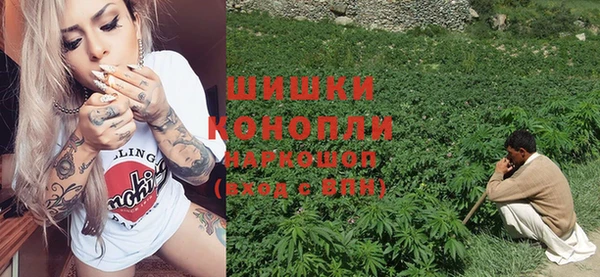 PSILOCYBIN Пересвет