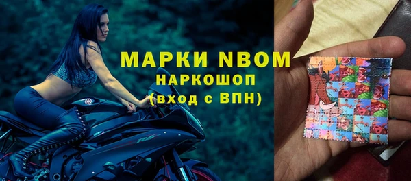 ГАЛЛЮЦИНОГЕННЫЕ ГРИБЫ Пестово