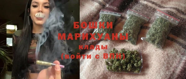 ГАЛЛЮЦИНОГЕННЫЕ ГРИБЫ Пестово