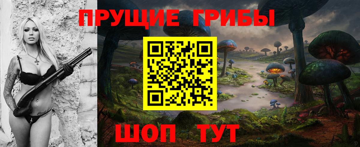 APVP Рузаевка