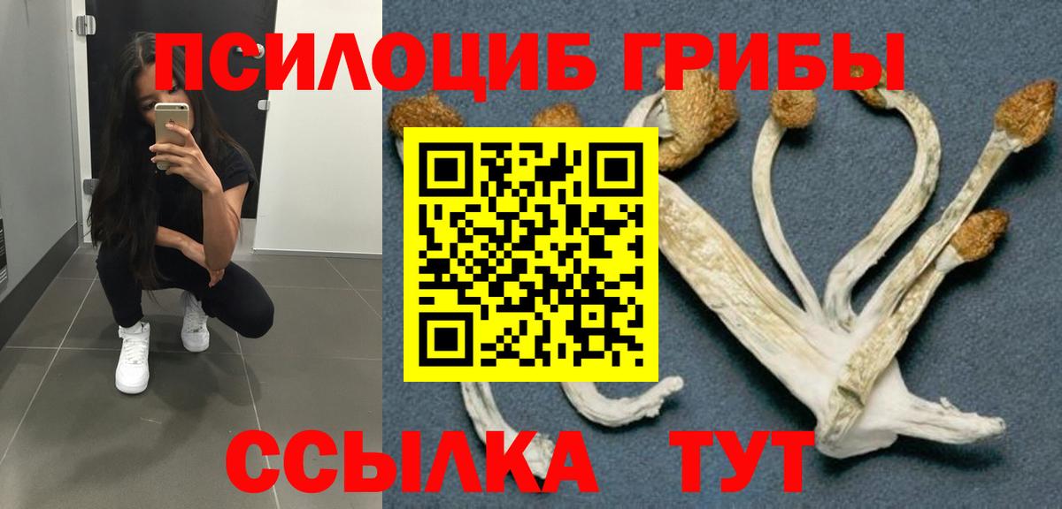 Галлюциногенные грибы ЛСД  Рузаевка 